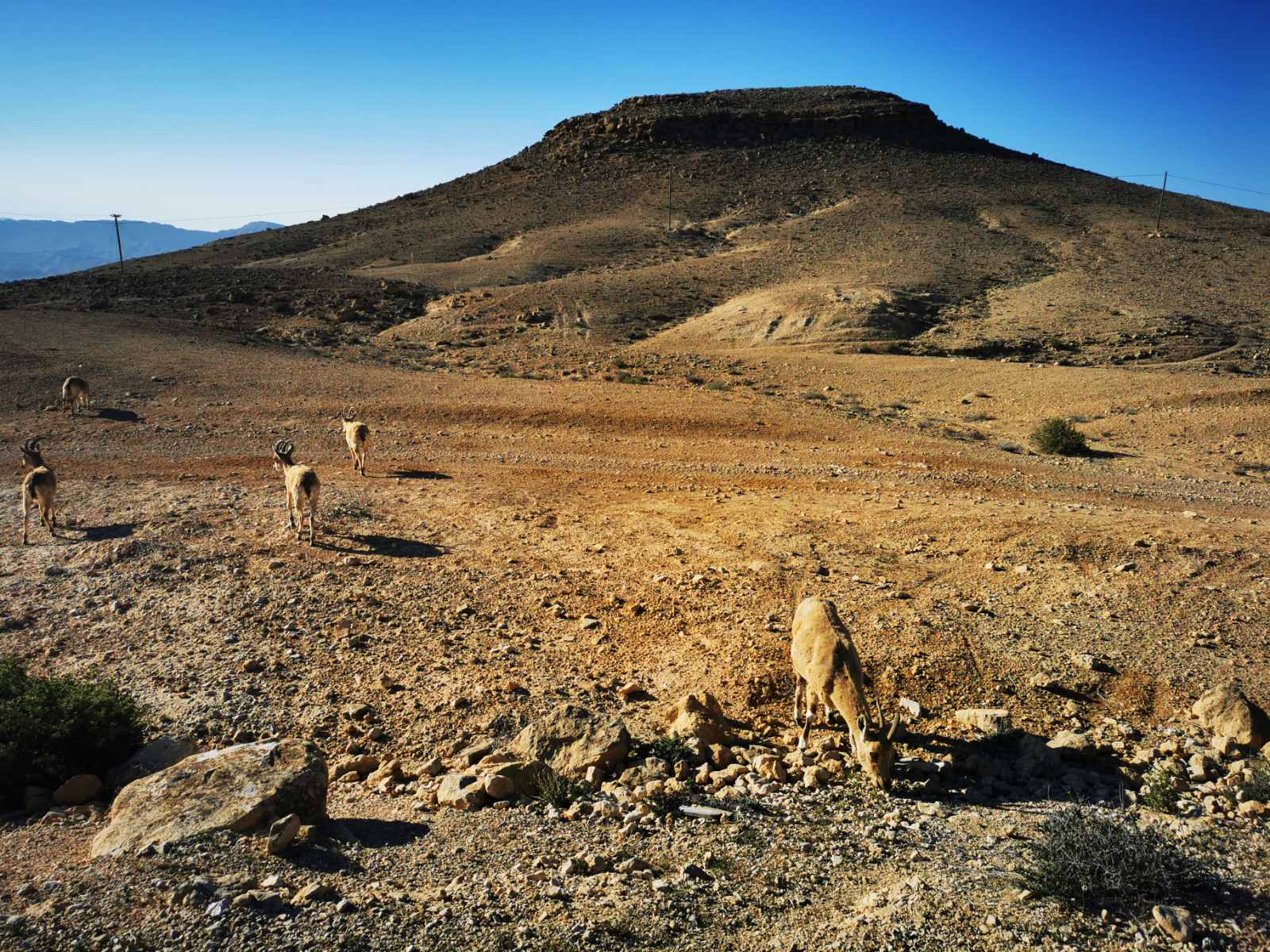 Eastern Crater 3