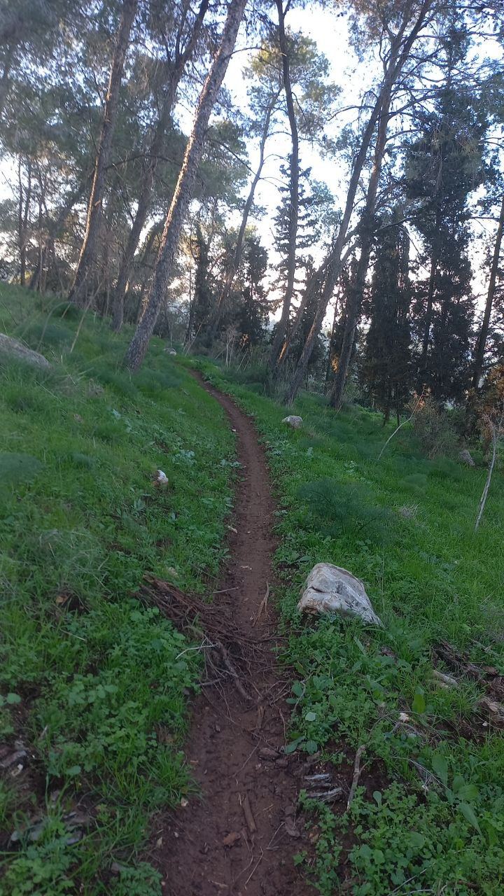 P2Peaks v2 1