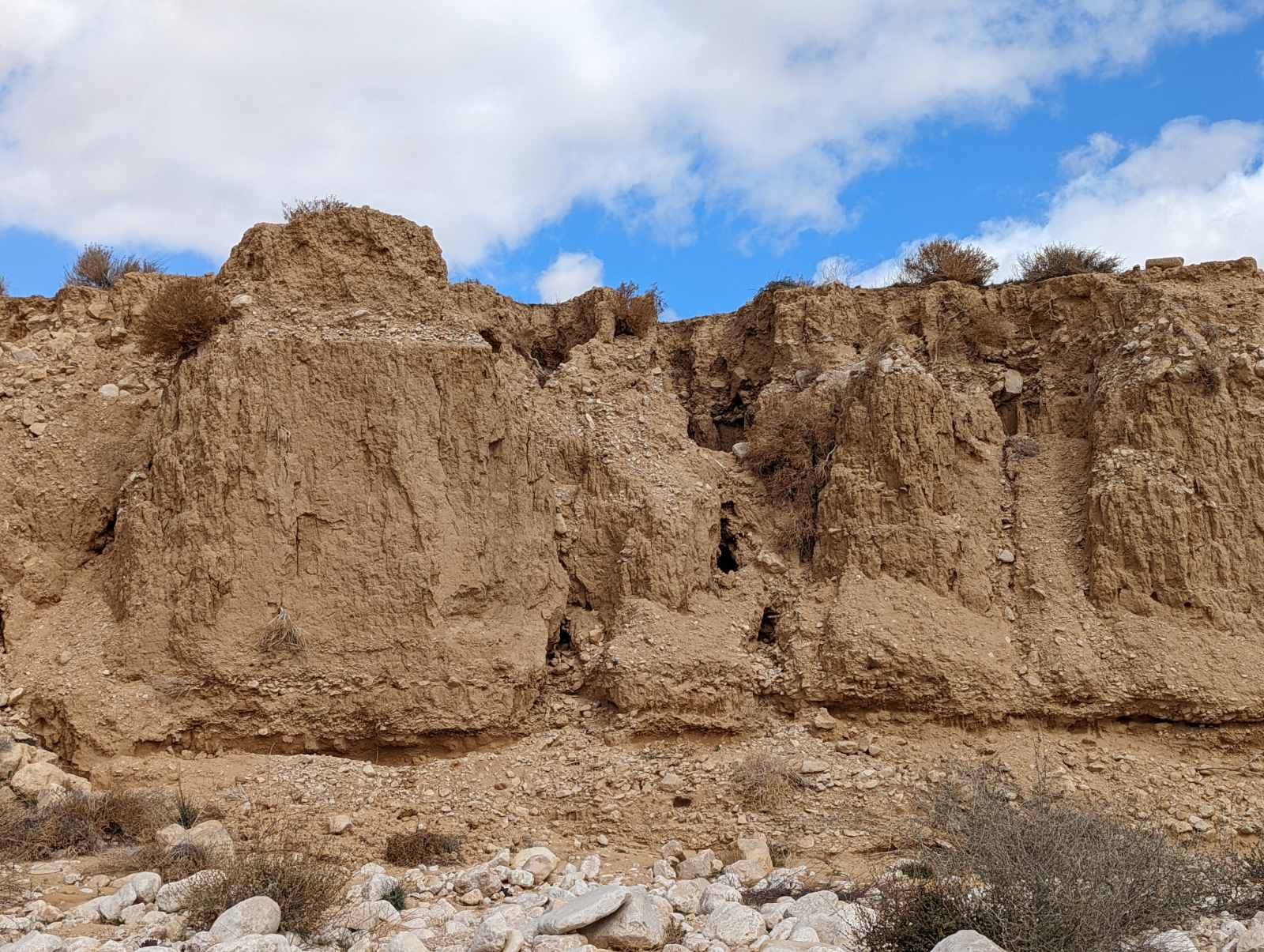 The Other Desert 1