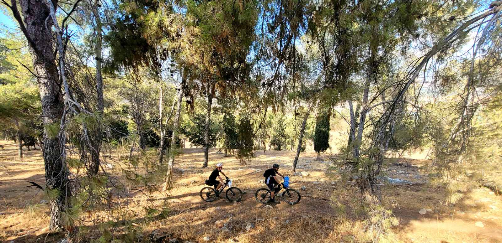To The Springs v3 2