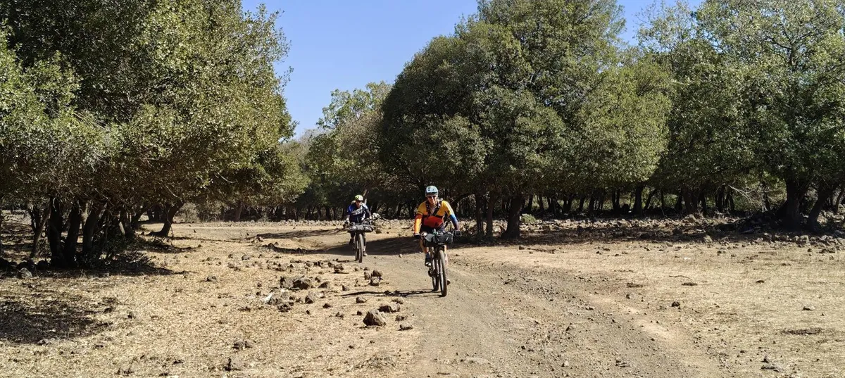 בייקפקינג לייט בגולן: חופשה נודדת על בסיס קרוסלנד גליל גולן
